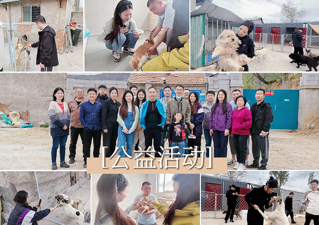 北京盛典博覽公司展現企業社會責任，探訪流浪狗基地并舉辦爬山團建